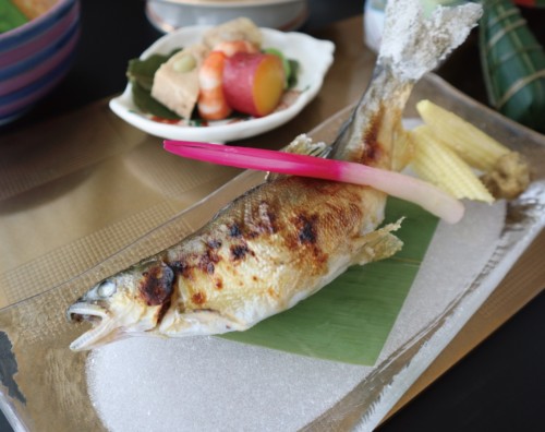 緒方の鮎