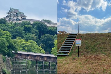 與和歌山市共同企劃的大廳展示