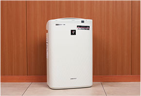 Air humidifier/purifier