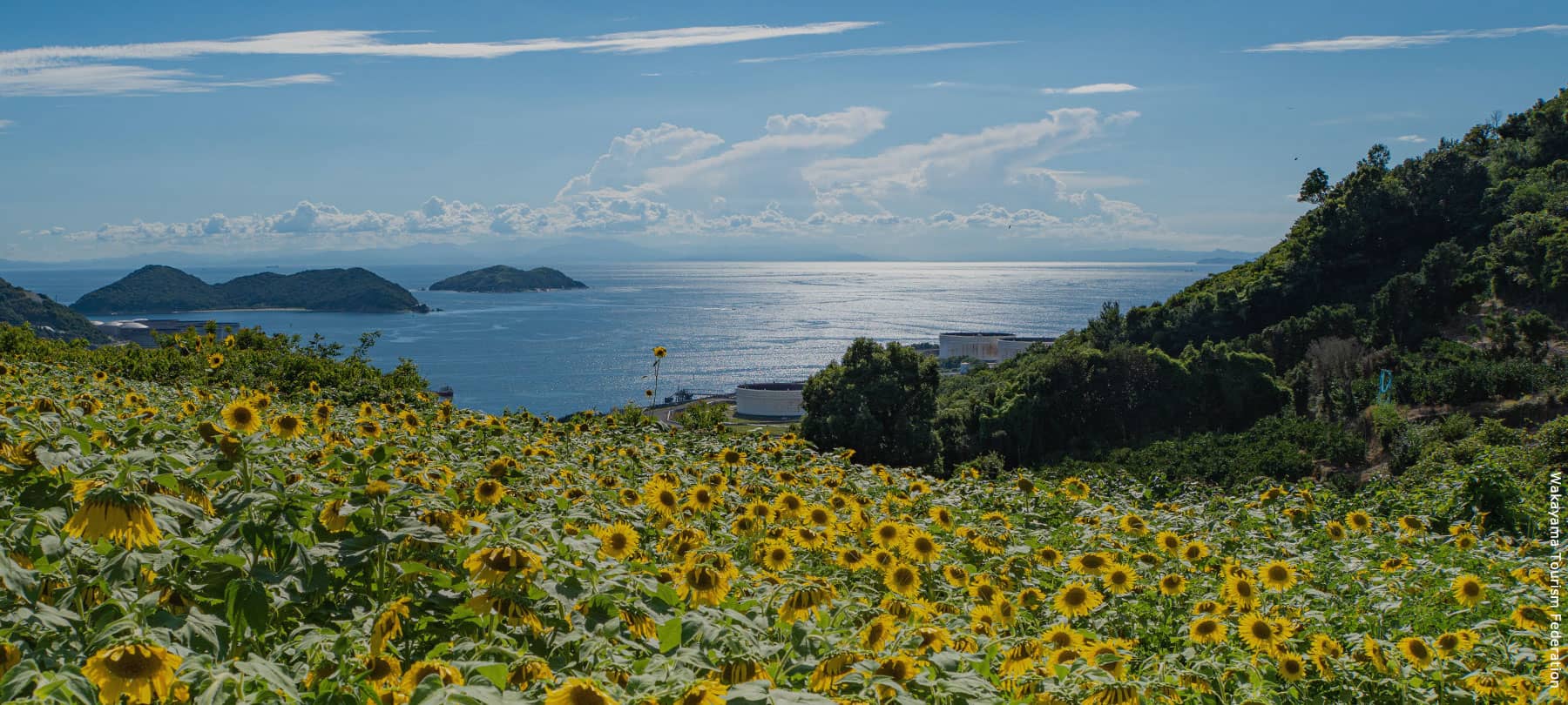 A Trip to Wakayama Starting GRANVIA